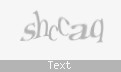 Защитный код