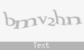 Защитный код