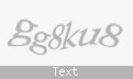 Защитный код