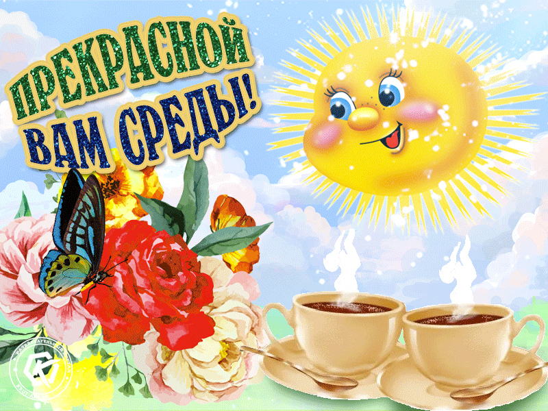 Смотрите открытые презентации компании One Shop World