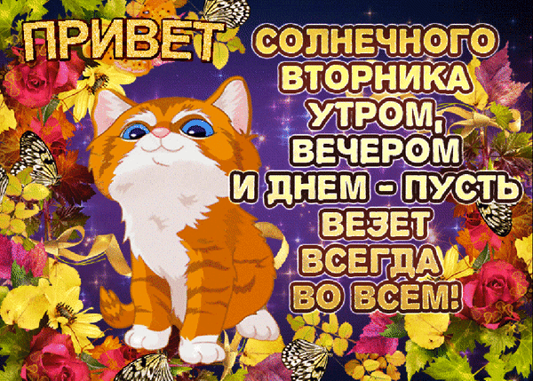 В этот вторник запланированы следующие открытые презентации